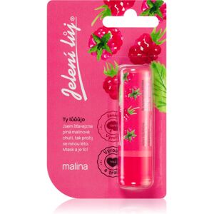 Regina Juicy Summer Raspberry deer tallow lip balm 4,5 g