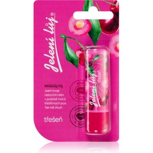 Regina Juicy Summer Cherry deer tallow lip balm 4,5 g