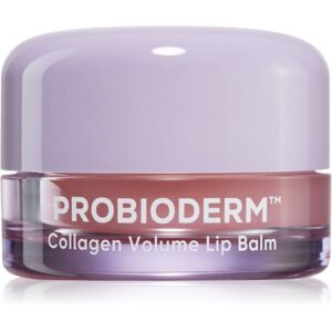 BIOHEAL BOH Probioderm Collagen Volume Lip Balm moisturising lip balm with collagen 15 ml BIOHEAL BOH Probioderm Collagen Volume Lip Balm moisturising lip balm with collagen 15 ml
