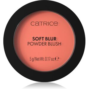 Catrice Soft Blur Powder Brush powder blusher with matt effect shade 020 Coral Cloud 5 g Catrice Soft Blur Powder Brush powder blusher with matt effect shade 020 Coral Cloud 5 g