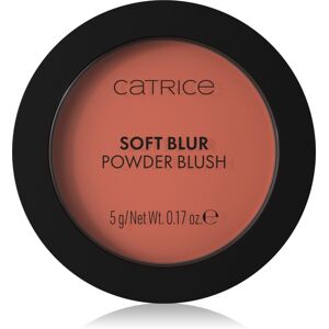 Catrice Soft Blur Powder Brush powder blusher with matt effect shade 030 Cinnamon Sugar 5 g Catrice Soft Blur Powder Brush powder blusher with matt effect shade 030 Cinnamon Sugar 5 g