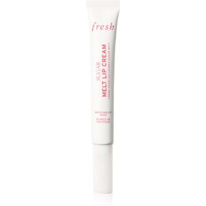 fresh Sugar Melt Lip Cream tinted lip balm shade Watermelon Rind 12 g fresh Sugar Melt Lip Cream tinted lip balm shade Watermelon Rind 12 g