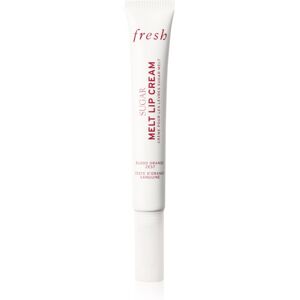 fresh Sugar Melt Lip Cream tinted lip balm shade Blood Orange Zest 12 g fresh Sugar Melt Lip Cream tinted lip balm shade Blood Orange Zest 12 g
