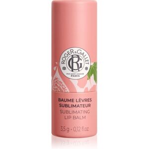 Roger & Gallet Fleur de Figuier Sublimating Lip Balm lip balm 3.5 g Roger & Gallet Fleur de Figuier Sublimating Lip Balm lip balm 3.5 g