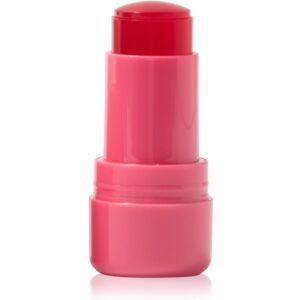 Technic Cosmetics Jelly Tint blusher stick for lips and cheeks shade Red Hot 9 g Technic Cosmetics Jelly Tint blusher stick for lips and cheeks shade Red Hot 9 g