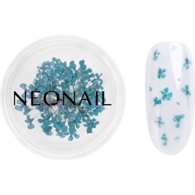 NEONAIL Turquoise Dried Flowers - Nail Art Decorations NEONAIL Turquoise Dried Flowers - Nail Art Decorations