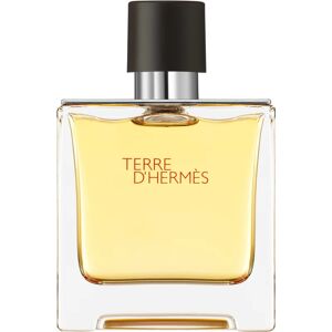 HERMÈS Terre d’Hermès perfume M 75 ml