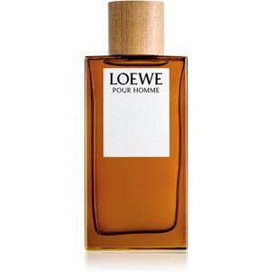 Loewe Pour Homme EDT M 150 ml