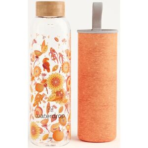 Waterdrop Glass Edition glass water bottle Youth 600 ml