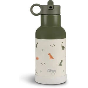 Citron Water Bottle 350 ml (Stainless Steel) stainless steel water bottle Dino 350 ml