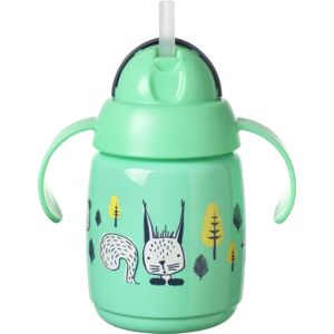 Tommee Tippee Superstar Straw Cup cup with straw for children 6m+ 300 ml