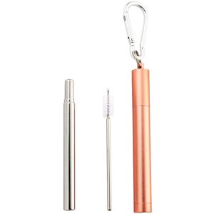 Naturalis Stainless Steel Straw Telescopic set (for everyday use)