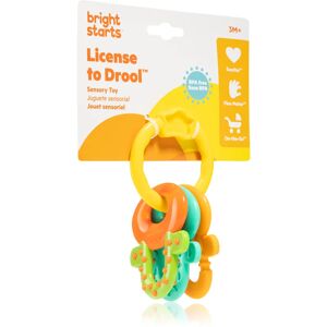 Bright Starts Teether & Rattle rattle with teether 3m+ 1 pc