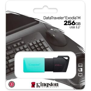 Kingston Technology DataTraveler ExodiaM 256GB USB 3.2 Flash Drive