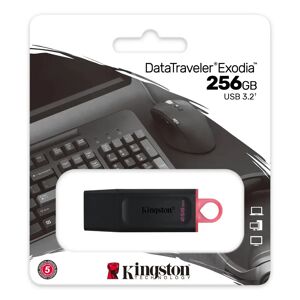 Kingston Technology DataTraveler Exodia 256GB USB 3.2 Flash Drive