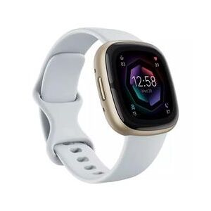 Fitbit Sense 2 Blue Mist/Soft Gold (FB521GLBM)