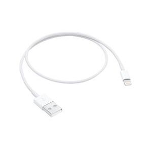 Apple Lightning to USB Cable (0.5m) (ghbhrr00)