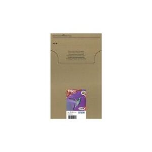 Epson C13T08074510 6 Ink Hummingbird Mailer Pack (C13T08074510)