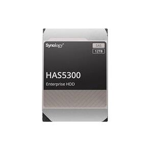 Synology 12TB HAS5300 3.5 SAS Hard Drive (HAS5300-12T)