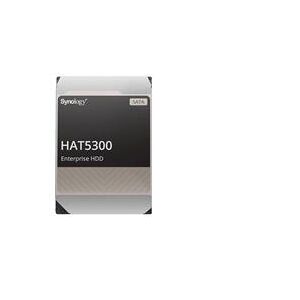Synology 16TB HAS5300 3.5 SAS Hard Drive (HAS5300-16T)