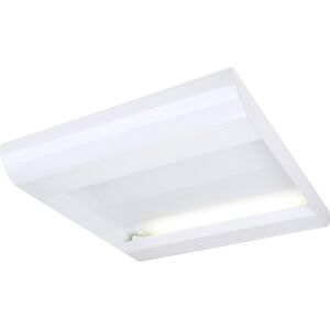 SLV TC INDI 255, ceiling light, double-headed, TC-LEL, square, white, max. 110 - Wall and ceiling lights