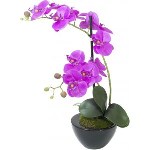 EUROPALMS Orchid arrangement 4, artificial - Plant arrangements