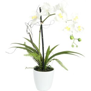 EUROPALMS Orchid arrangement 1, artificial - Plant arrangements