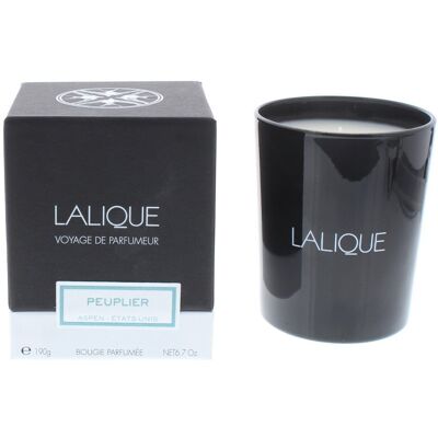 Lalique Poplar Aspen Candle - 190g - Unisex Lalique Poplar Aspen Candle - 190g - Unisex