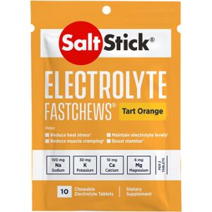 Saltstick Salt Stick Fast Chews – Single Sachet - Watermelon Saltstick Salt Stick Fast Chews – Single Sachet - Watermelon