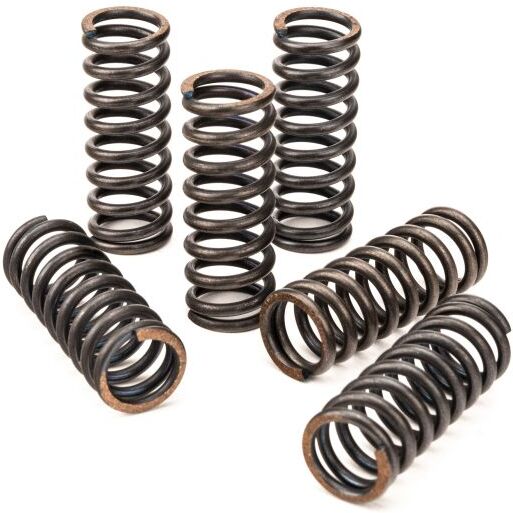 EBC Brakes CSK Series Heavy Duty Replacement Clutch Spring Kit