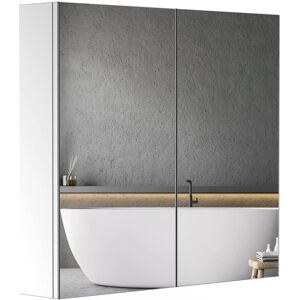 HOMCOM Bathroom Mirror Cabinet, Stainless Steel, Double Doors, Wall Mounted, Spacious Storage