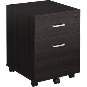 Vinsetto Mobile File Cabinet with 2 Drawers, Locking, Rolling Office Filing Cabinet on 5 Wheels, Black Aosom UK