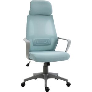 Vinsetto Ergonomic Mesh Office Chair with Wheels, High Back, Adjustable Height, Home Office Comfort, Blue