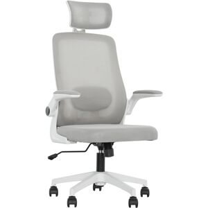 HOMCOM Executive Office Chair, Ergonomic Mesh High Back Desk Chair with Flip-up Armrest, Adjustable Lumbar Support, Headrest for Home Study, Grey