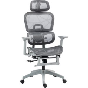 HOMCOM Executive Office Chair, Ergonomic Mesh High Back Desk Chair with Reclining Function, Swivel Computer Chair with Armrest, Footrest, Grey
