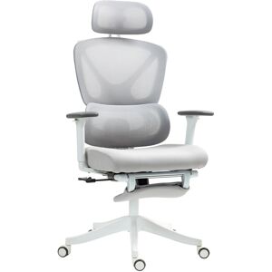 HOMCOM Executive Office Chair, Ergonomic Mesh Desk Chair with 3D Armrests, Rotatable Headrest, Adjustable Lumbar Support for Home Office, Grey