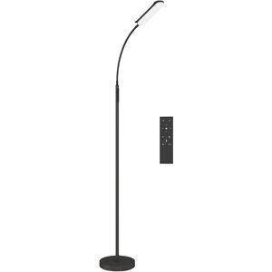 HOMCOM LED Floor Lamp, Standing Lamp with Remote & Touch Control, Stepless Dimmable Colours Temperature & Brightness, 360° Adjustable Gooseneck, 1 Hour Timer, Memory Function for Living Room, Black