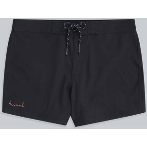 Animal Aurora Womens Mini Boardshorts - Black - Black - Size: 6 Animal Aurora Womens Mini Boardshorts - Black - Black - Size: 6