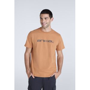 Animal Leon Mens Relaxed T-Shirt - Orange - Orange - Size: L Animal Leon Mens Relaxed T-Shirt - Orange - Orange - Size: L