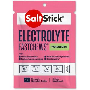 Saltstick 120 Electrolyte FastChews Chewable Tablets - Saltstick 120 Electrolyte FastChews Chewable Tablets -