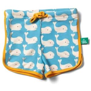 Little Green Radicals Whale Kids 87% Recycled Polyester Swim Shorts - - Size: 6-7y Little Green Radicals Whale Kids 87% Recycled Polyester Swim Shorts - - Size: 6-7y