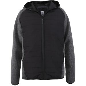 Duke D555 Highampton Mens Padded Jacket - - Size: XXL Duke D555 Highampton Mens Padded Jacket - - Size: XXL