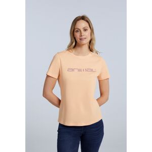 Animal Marina Womens Logo T-Shirt - Orange - Orange - Size: 6 Animal Marina Womens Logo T-Shirt - Orange - Orange - Size: 6