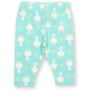 Kite Clothing Baby 95% Organic Cotton Leggings - Kite Clothing Baby 95% Organic Cotton Leggings -