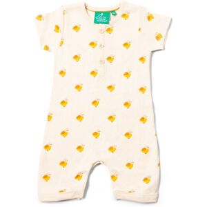 Little Green Radicals Summery Baby 100% Organic Cotton Romper - - Size: 18-24m Little Green Radicals Summery Baby 100% Organic Cotton Romper - - Size: 18-24m