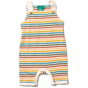 Little Green Radicals Rainbow Baby Kids 100% Organic Cotton Dungaree - - Size: 18-24m Little Green Radicals Rainbow Baby Kids 100% Organic Cotton Dungaree - - Size: 18-24m
