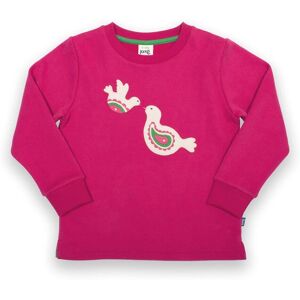 Kite Clothing Baby/Kids 100% Organic Cotton Applique Sweatshirt - Kite Clothing Baby/Kids 100% Organic Cotton Applique Sweatshirt -