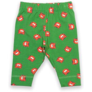 Kite Clothing Baby 95% Organic Cotton Leggings - Kite Clothing Baby 95% Organic Cotton Leggings -