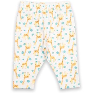 Kite Clothing Baby 95% Organic Cotton Leggings - Kite Clothing Baby 95% Organic Cotton Leggings -