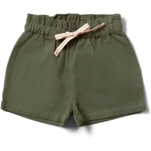 Little Green Radicals Forest Green Baby Kids 100% Organic Cotton Shorts - - Size: 6-9m Little Green Radicals Forest Green Baby Kids 100% Organic Cotton Shorts - - Size: 6-9m